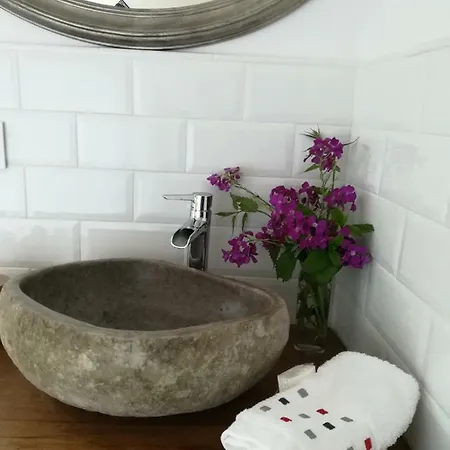 Pico San Carlos Ll *