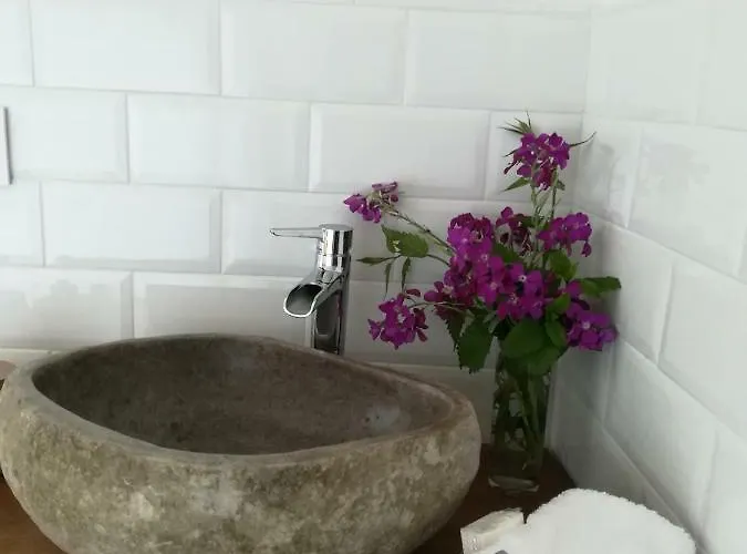 Pico San Carlos Ll *